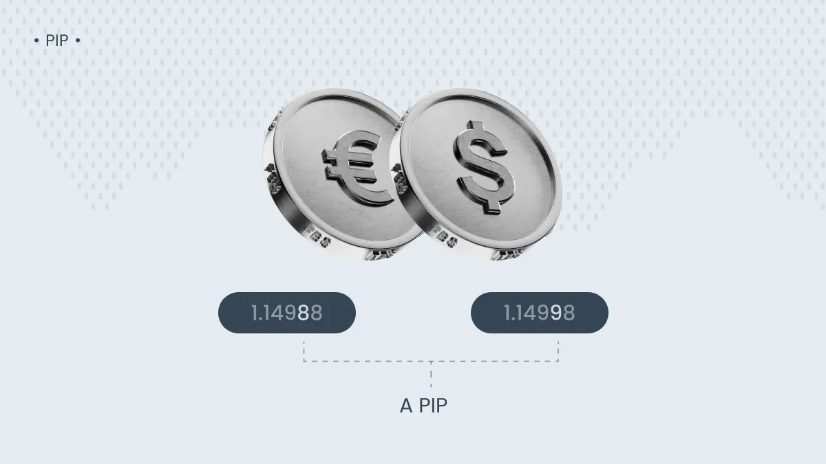 کاربردهای پیپ