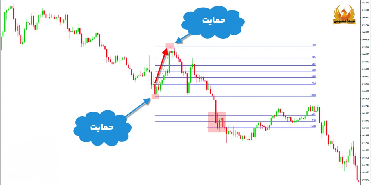 حمایت و مقاومت در فیوناچی