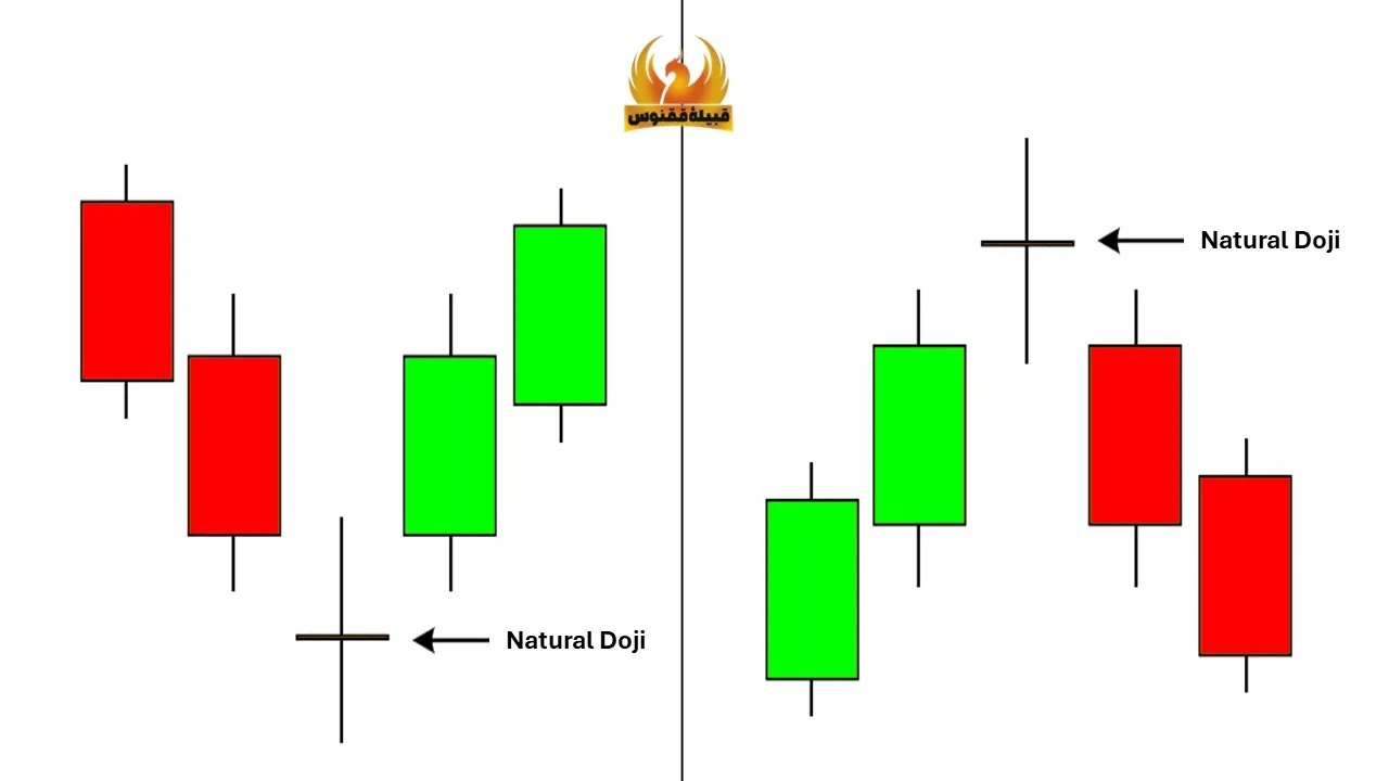دوجی استاندارد
