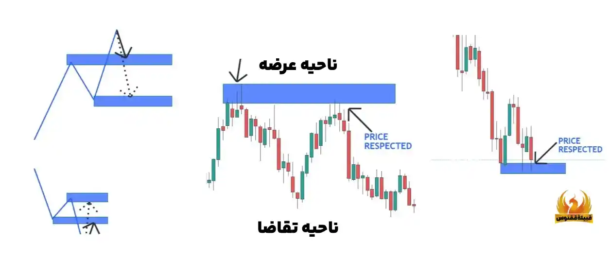 نکات مهم ترسیم بیس بار