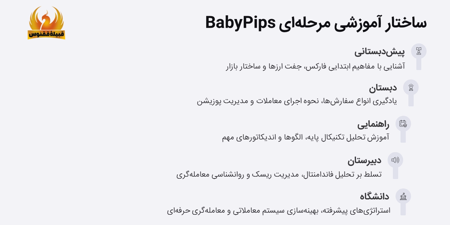 ساختار babypips