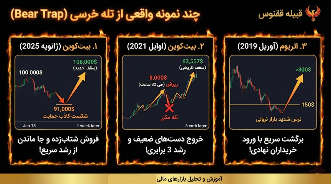 چند نمونه واقعی از تله خرسی