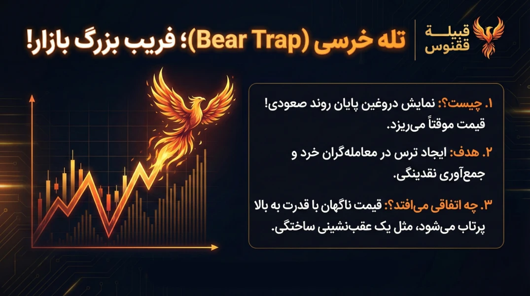 تله خرسی چیست؟